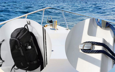 �t�F���_�[�t�b�N ���t����